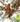 Trail Runners Barefoot Hiking Trainers by Gaucho Ninja, best outdoors running shoes
