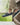 Scarpe Barefoot Pals | Deck Shoes: Il Connubio Perfetto tra Comfort, Stile e Sostenibilità 🌿👟