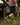 best safety boots