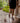 Award Winning Goodyear Welted Barefoot Chukka Boots for Women in Brown Veg Tan Leather by Gaucho Ninja