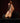 Barefoot Work Boots with Steel toe by Gaucho Ninja