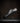 Goodyear Welted Barefoot Shoes Barefoot Brogue in Black Best Barefoot Dress Shoes