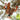 Trail Runners Barefoot Hiking Trainers by Gaucho Ninja, best outdoors running shoes
