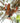 Trail Runners Barefoot Hiking Trainers by Gaucho Ninja, best outdoors running shoes