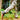 Trail Runners Barefoot Hiking Trainers by Gaucho Ninja, best outdoors running shoes