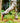 Trail Runners Barefoot Hiking Trainers by Gaucho Ninja, best outdoors running shoes