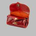 Cherry Horse Handmade Ergo Pouch by Gaucho Ninja